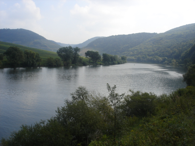 028 - PAYSAGE DES BORDS DE LA MOSELLE 9.JPG